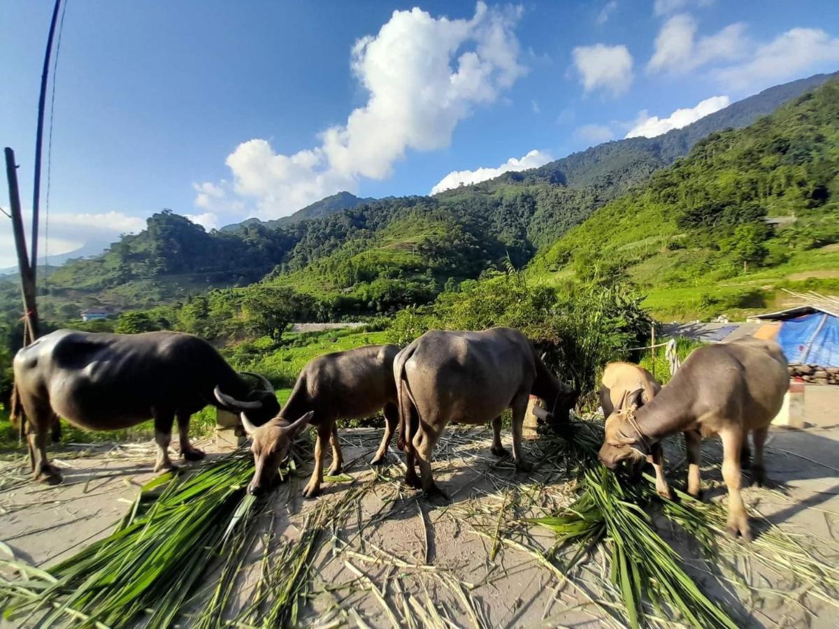 Ha Giang Donkey Hostel Zewnętrze zdjęcie